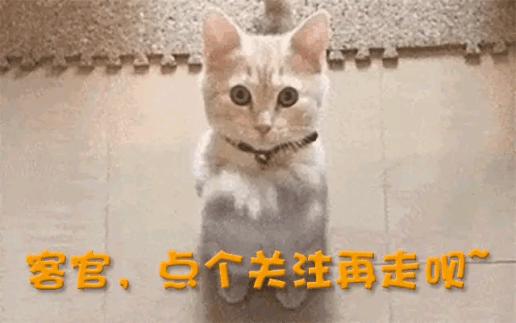 一中产最爱的电商平台停运曾叫板淘宝！ag九游会登录烧光3000万美元！又(图6)