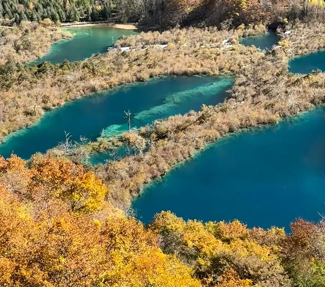 川报团游费用及行程首次出行必看！j9国际四川跟团四日游费用明细四(图4)